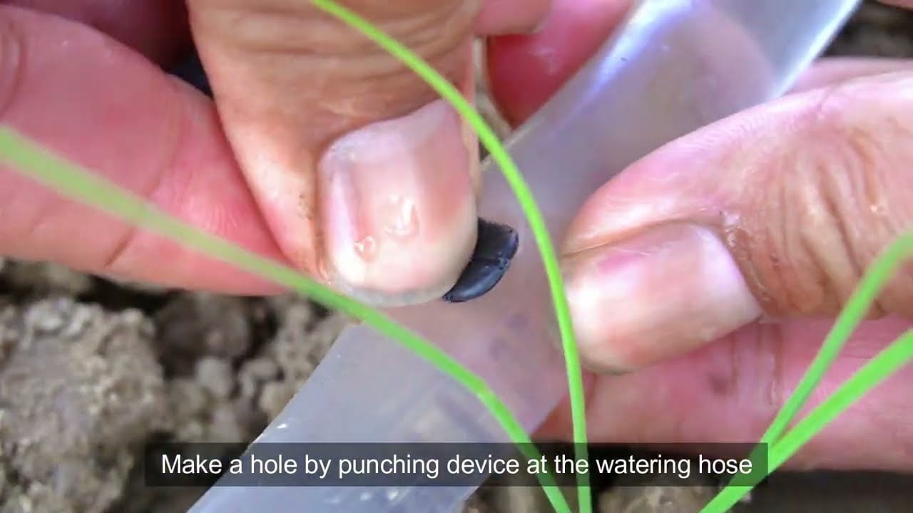 How to install a bucket drip kit for your home garden