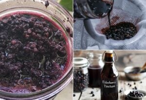 How To Make An Elderberry Tincture (just 2 ingredients!)