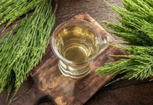 Make Your Own Horsetail Tea to Combat Water Retention By Simple Steps