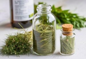 Horsetail Tincture A Natures Gift for Many Diseases