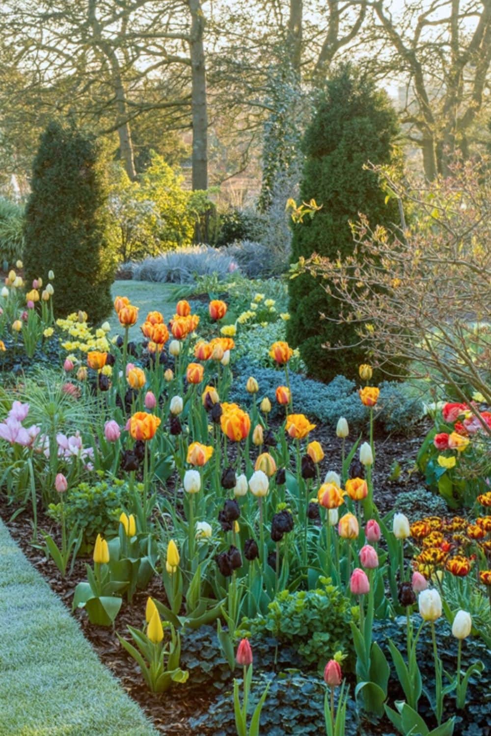 30 Dreamy Tulip Planting Ideas for a Fairytale Front House Garden 8