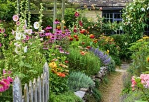 August blooming flowers