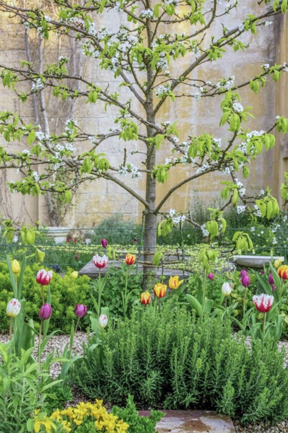 30 Dreamy Tulip Planting Ideas for a Fairytale Front House Garden 20