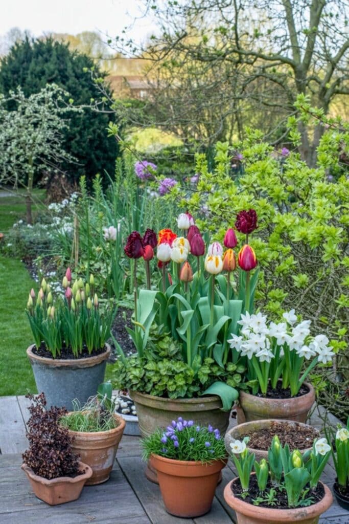 30 Dreamy Tulip Planting Ideas for a Fairytale Front House Garden 19