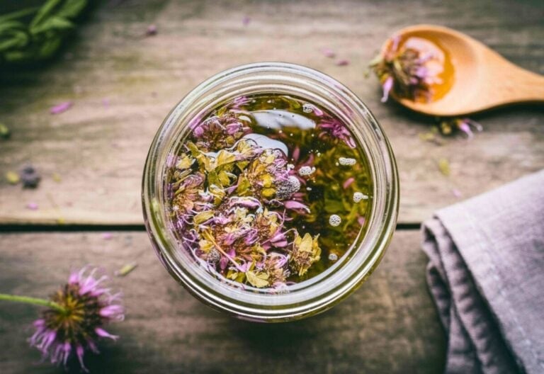 Ways to Use Bee Balm