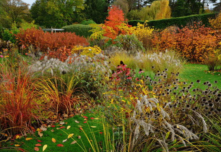 10 So-Called “Messy” Garden Habits That Are Surprisingly Good for Wildlife