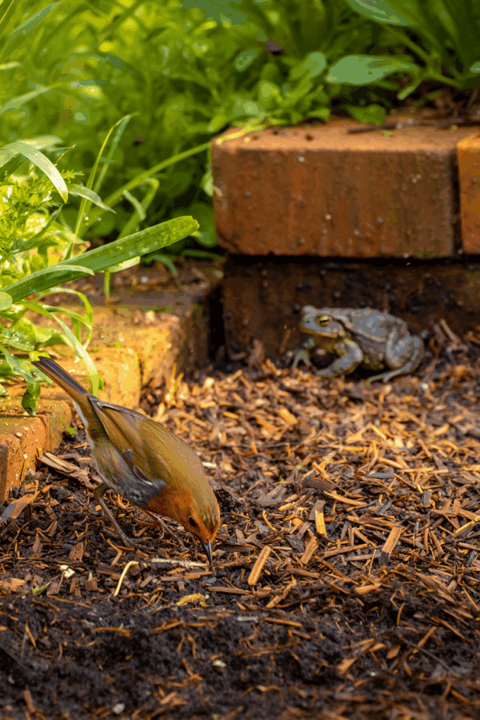 Building a Natural Pest Patrol