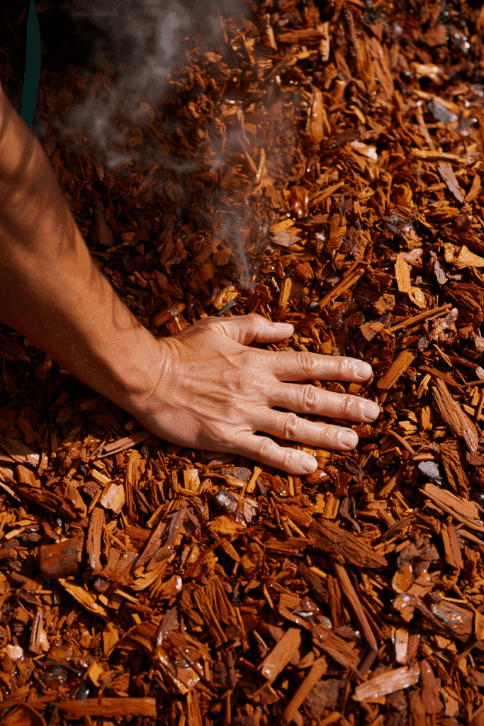 The Cozy Mistake We All Make