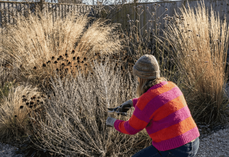 12 Plants You Must Cut Back Before March to Stop Weak Growth