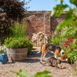 15 Aesthetic Pet-Friendly Perennials for a Stunning and Worry-Free Yard