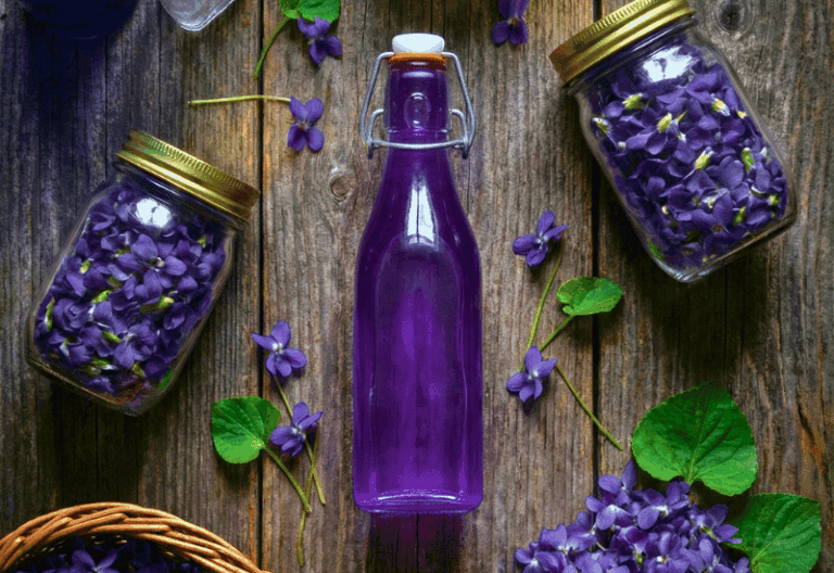 A Simple Wild Violet Syrup That Feels Like Bottled Spring