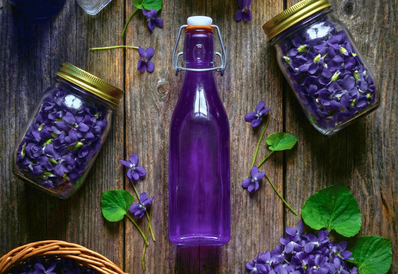 A Simple Wild Violet Syrup That Feels Like Bottled Spring