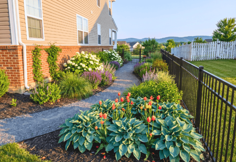 companion-planting-mistakes