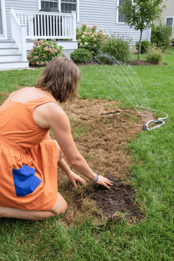 Damage That Shows Up Despite Regular Watering